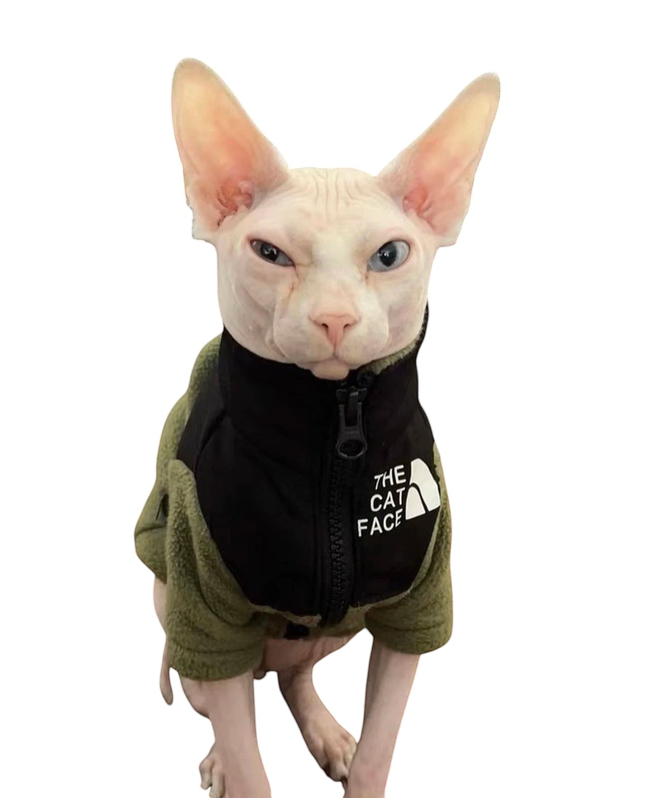 COMFORTH The Cat Face Fleece Pet Jacket in olive green and black with zipper closure and high collar on a Sphynx cat.