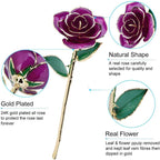 24K Gold-Plated Rose - Timeless Gift for Wife, Mother, Grandmother - Perfect for Anniversaries, Birthdays, and Weddings