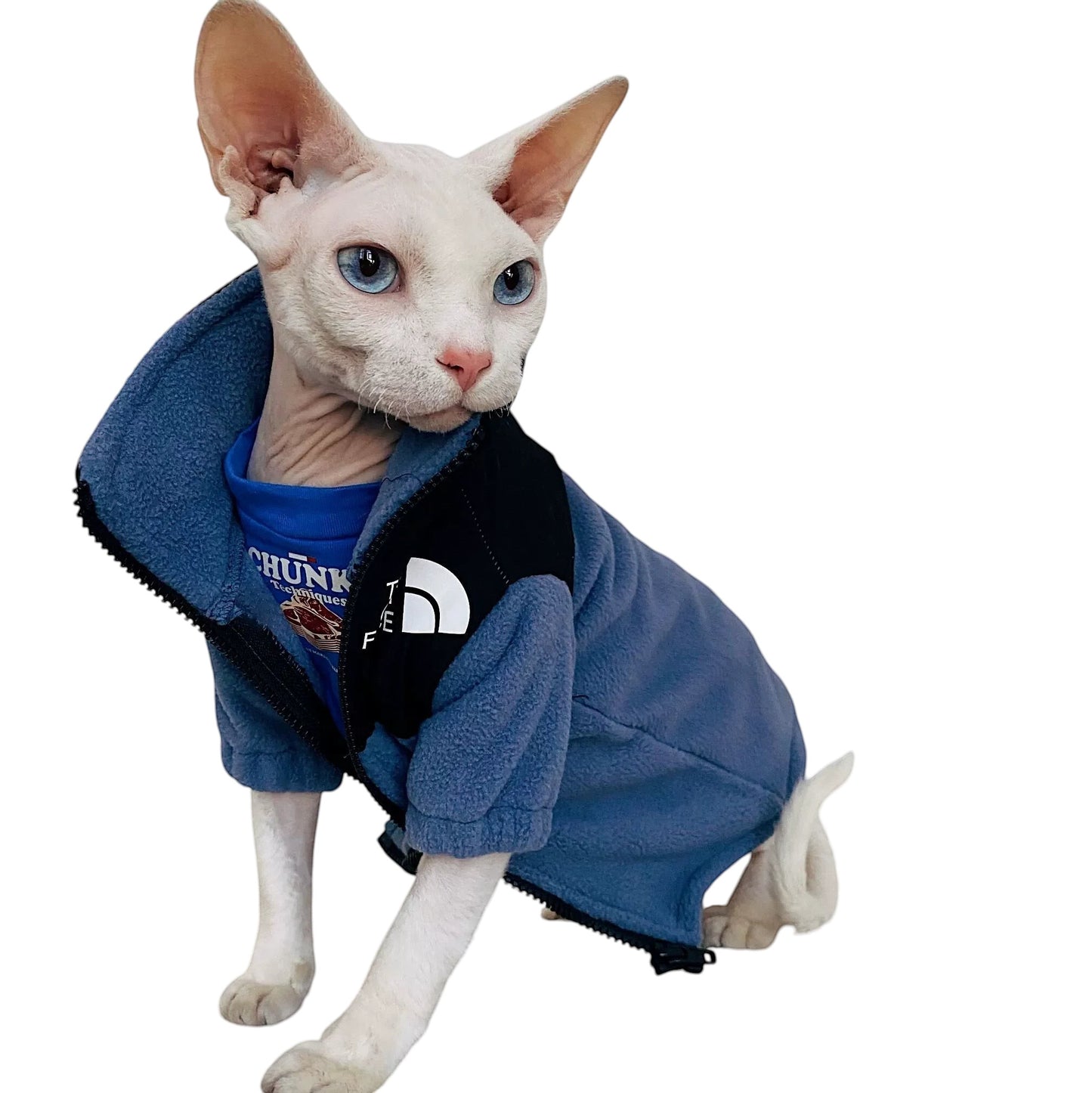 COMFORTH blue fleece pet jacket with black accents and high collar, worn by a Sphynx cat.
