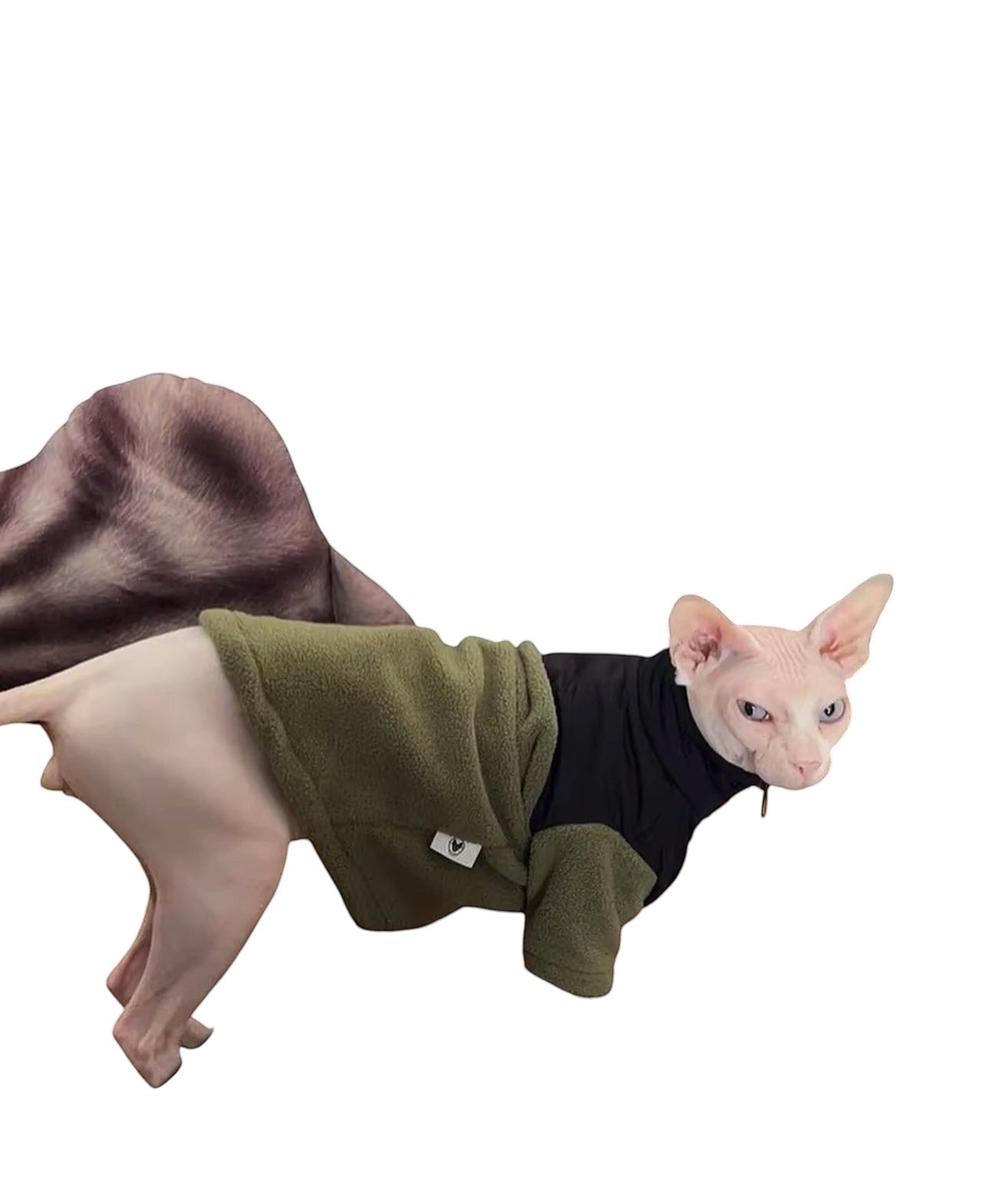 COMFORTH olive green and black fleece pet jacket with zipper closure and high collar on a Sphynx cat.