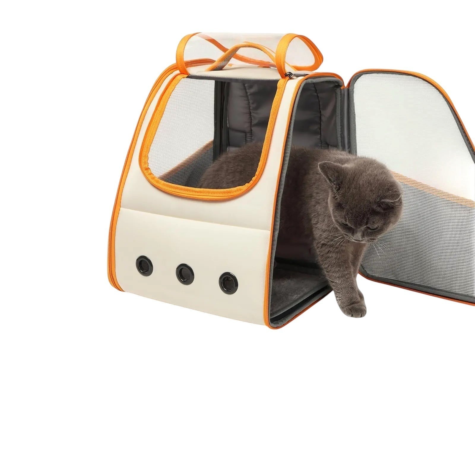 COMFORT cream pet carrier backpack with orange trim, mesh panels, and a grey cat exiting.