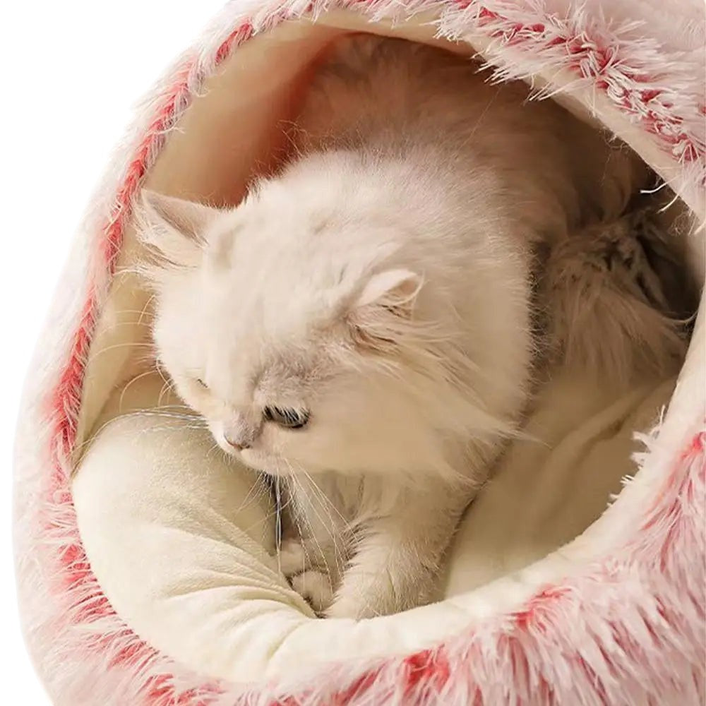 COMFORT plush enclosed cat bed with pink trim, featuring a white Persian cat nestled inside.
